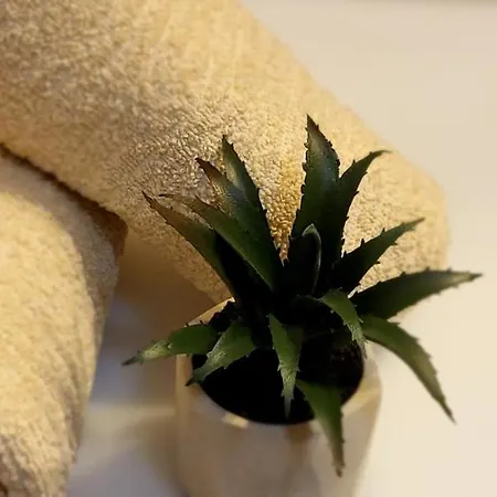 Apartament Bulevar Belgrad