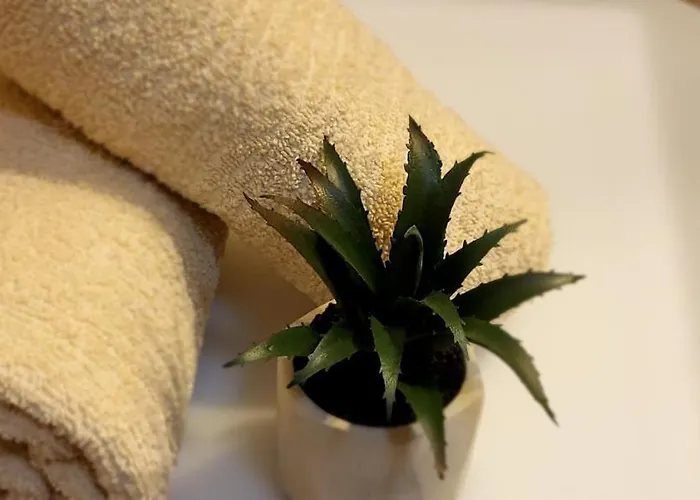 Appartement Bulevar Belgrado